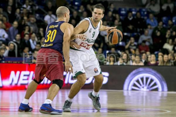 罗德里提供 罗德里提供