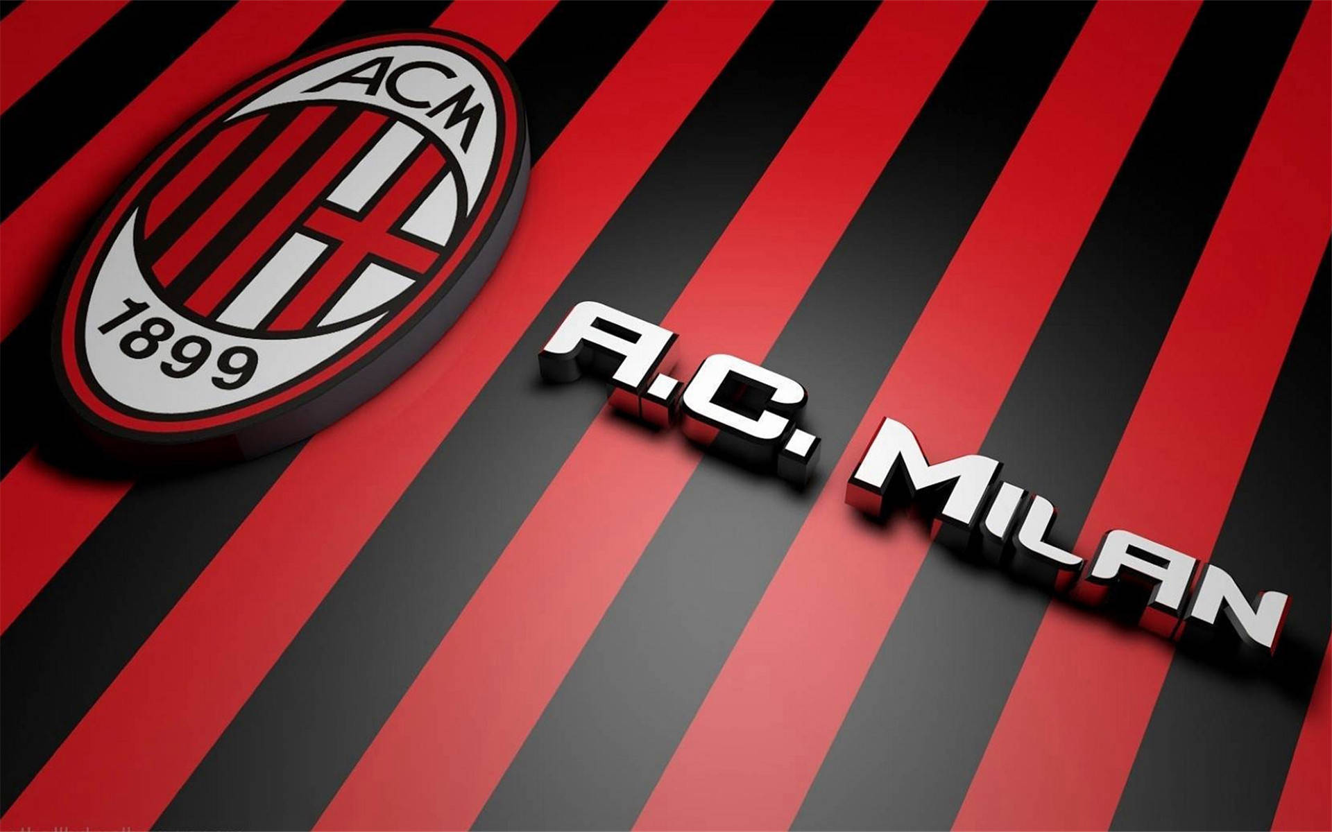 流浪犬被灭 流浪犬被灭